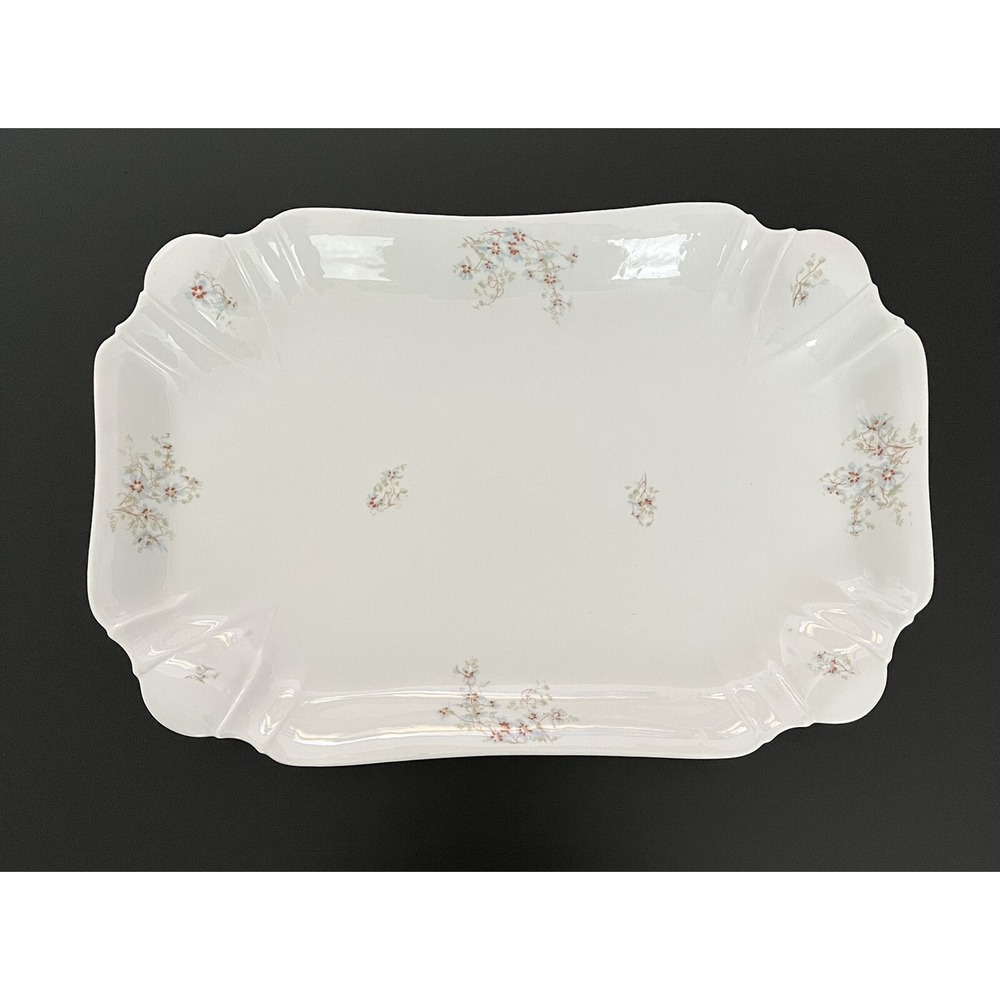 Vintage Leonard Vienna Austria Serving Platter Wildflowers Porcelain Large - 16"